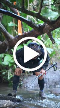 BIB:  <button type="button" onclick="openModal(27825407)" class="btn btn-primary btn-sm float-right" data-toggle="modal" data-target=".modal-high-quality">
                <i class="fa fa-download"></i> Download
                </button>